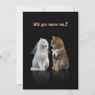 Will you meow me..? Card