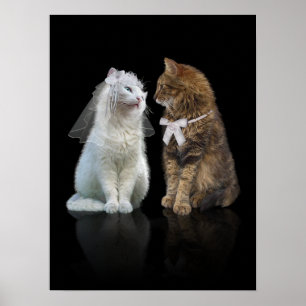 Will you meow me? poster