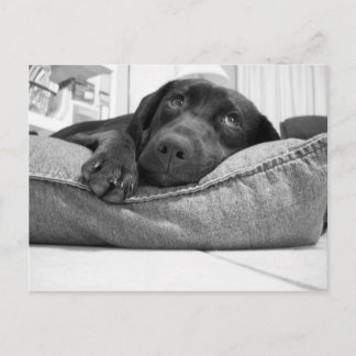 Will you play? postcard