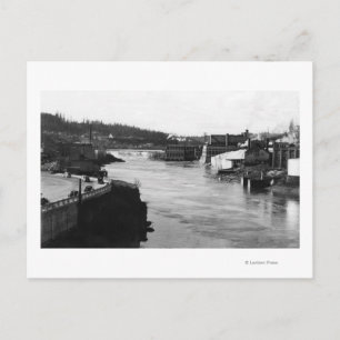 Willamette Falls and Paper Mills Oregon City Postcard