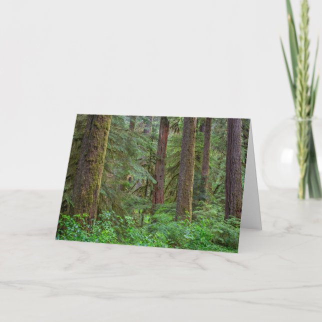 Willamette National Forest | Oregon Card (Front)