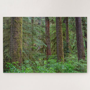 Willamette National Forest Oregon Jigsaw Puzzle