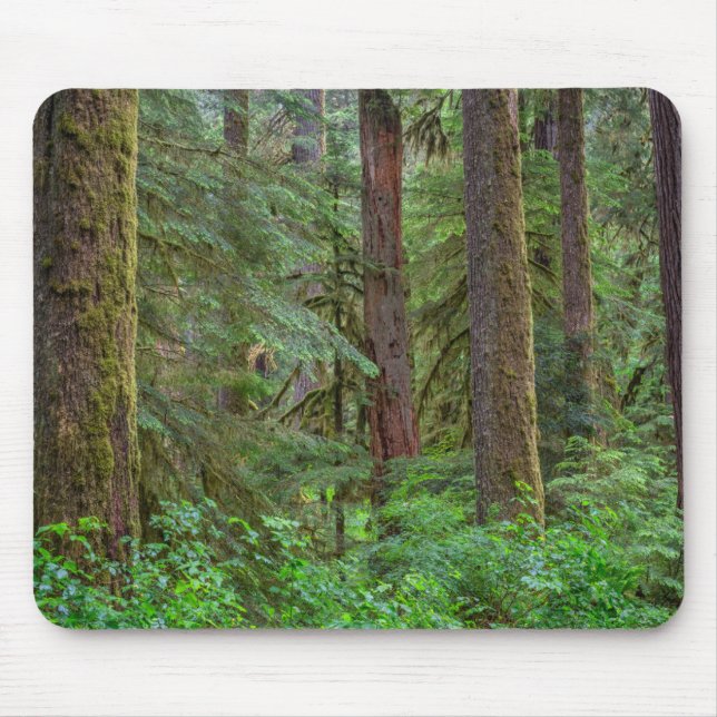 Willamette National Forest | Oregon Mouse Pad (Front)