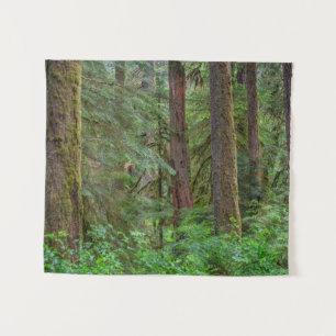 Willamette National Forest   Oregon Tapestry