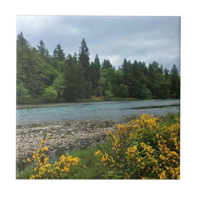 Willamette River, Elijah Bristow State Park, OR Ceramic Tile (Front)