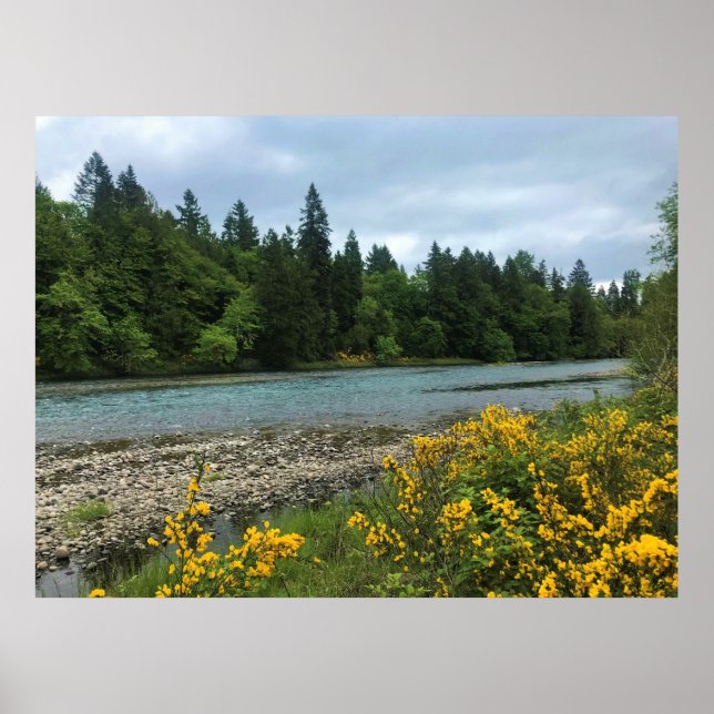 Willamette River, Elijah Bristow State Park, OR Poster (Front)