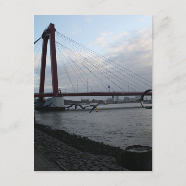 Willemsbrug, Rotterdam Postcard (Front)