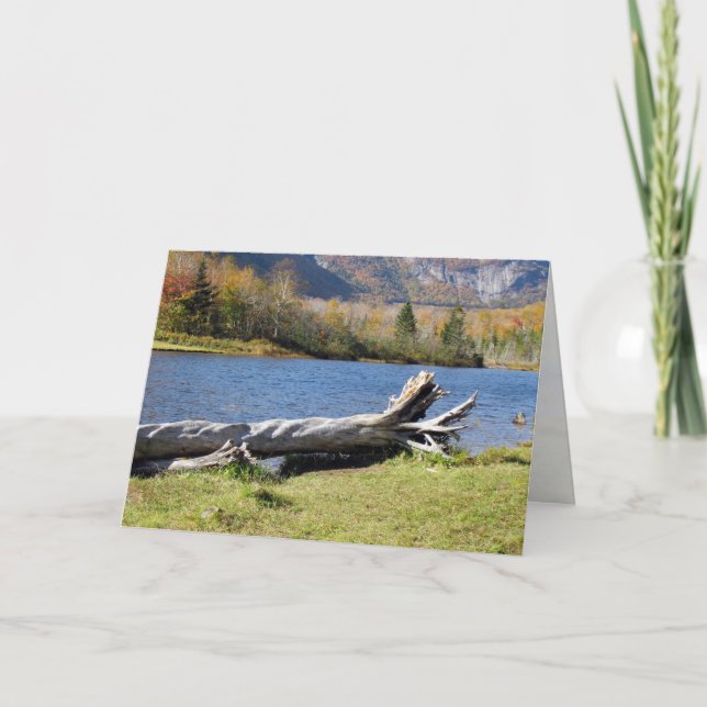 Willey's Pont, Saco River, North Conway, NH Card (Front)