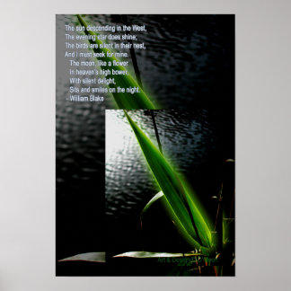 William Blake "silent delight" poem quote poster