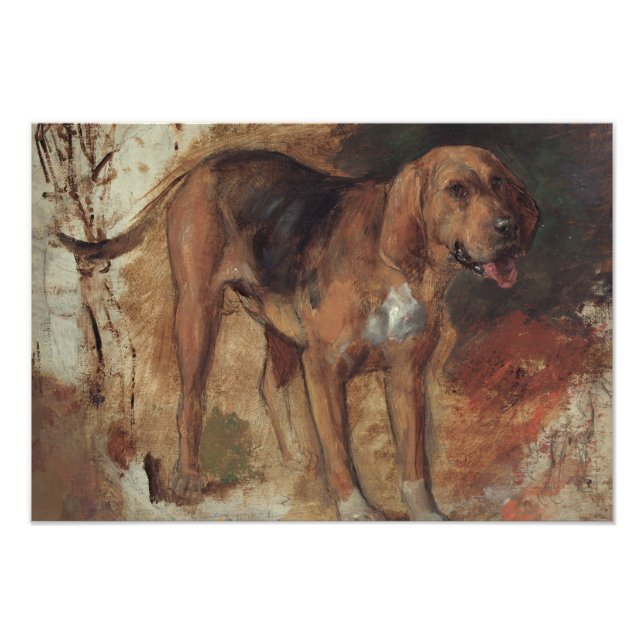 William Holman Hunt - Study of a Bloodhound Photo Print (Front)