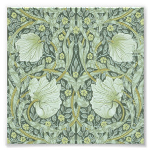 William Morris, Art nouveau pattern, beautiful art Photo Print