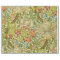 William Morris Golden Lily Vintage Pre-Raphaelite