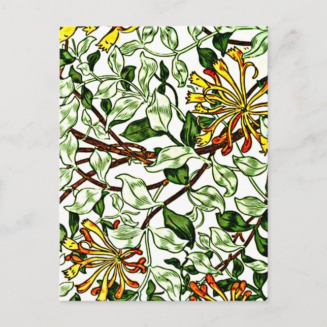 William Morris - Honeysuckle, green and yellow Postcard (Front)