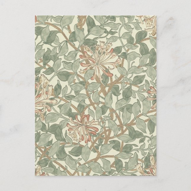 William Morris Honeysuckle Green Floral Postcard (Front)