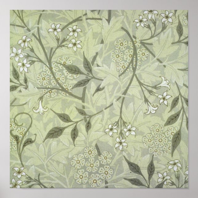 William Morris Jasmine Botanical Poster (Front)