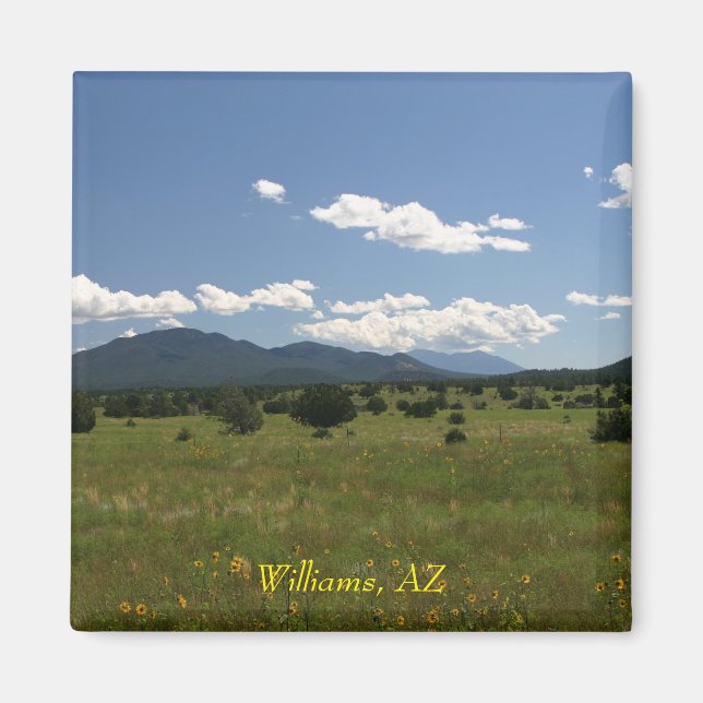 Williams AZ Magnet (Front)