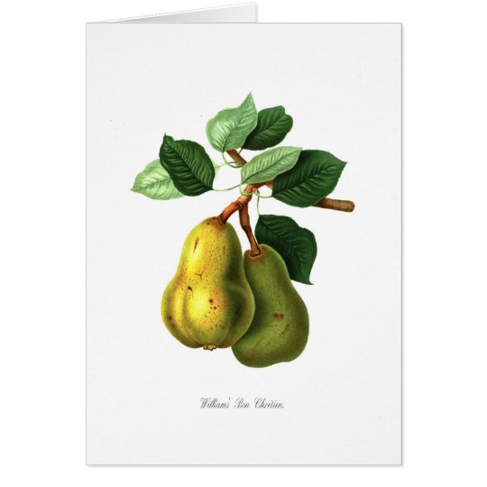 Williams Bon Chretien pear Card