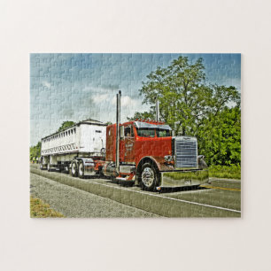 Williamson's FLC Puzzle