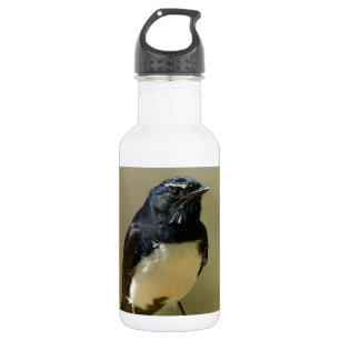 Willie Wagtail 532 Ml Water Bottle