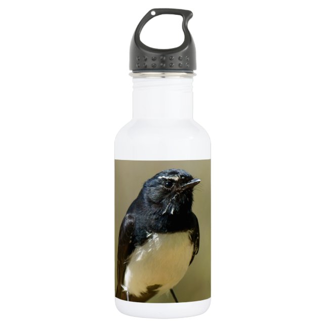 Willie Wagtail 532 Ml Water Bottle (Front)