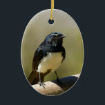 Willie Wagtail Ceramic Tree Decoration<br><div class="desc">Willie Wagtail on a fence</div>
