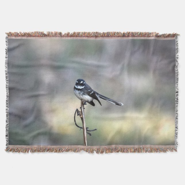 WILLIE WAGTAIL IN RURAL QUEENSLAND AUSTRALIA THROW BLANKET (Front)