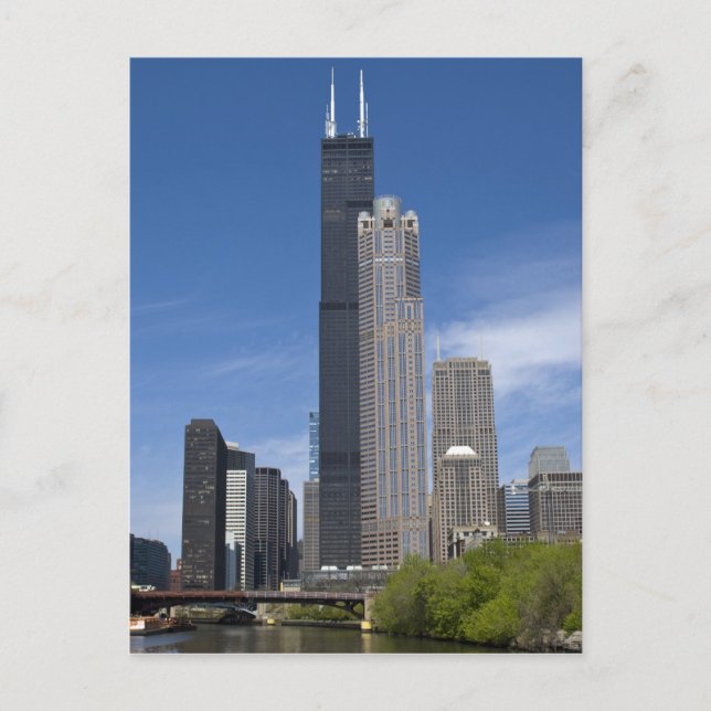 Willis Tower (previously the Sears Tower) looms Postcard (Front)