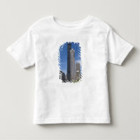 Willis Tower (previously the Sears Tower) looms