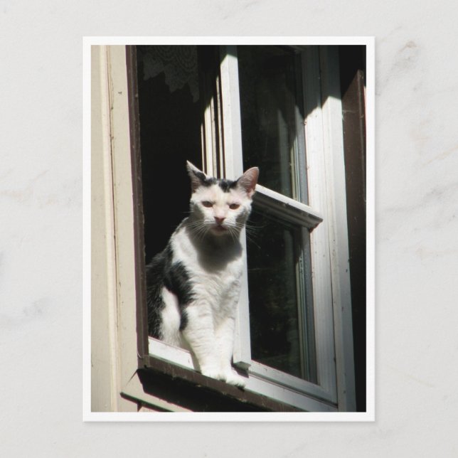 Willkommen im Cafè Rilke Postcard (Front)