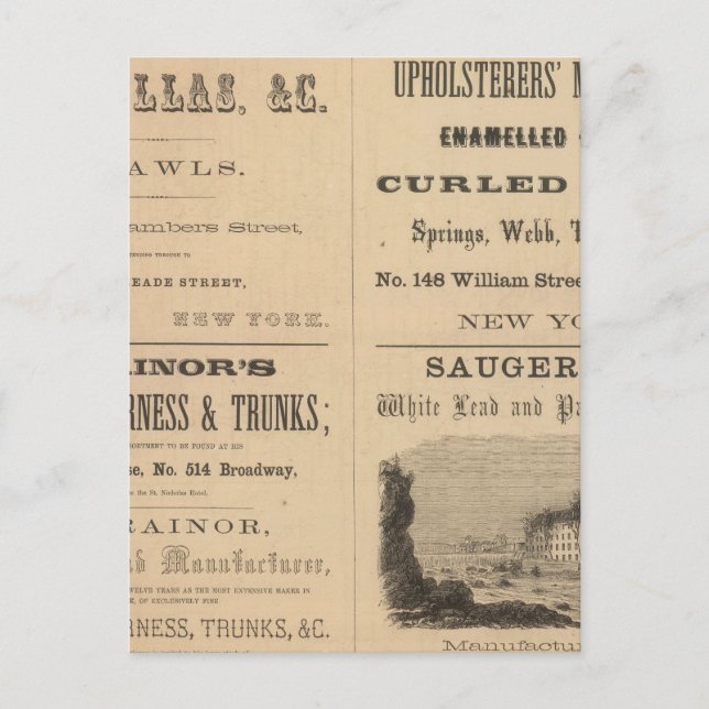 Willouchby H Reed and Company Postcard (Front)