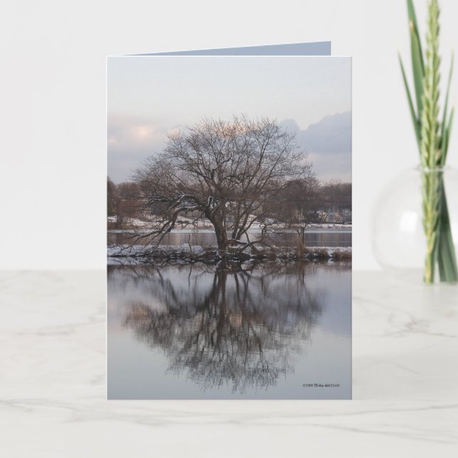 Willow as World Tree Card (Front)