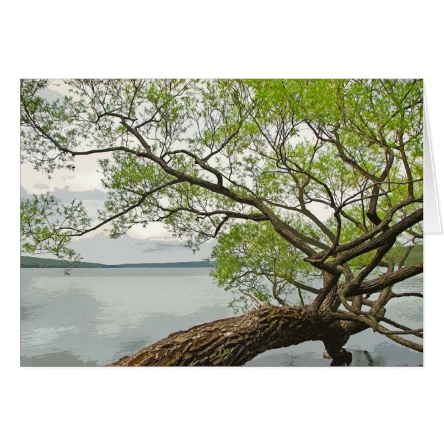 Willow at the Lake (Front Horizontal)