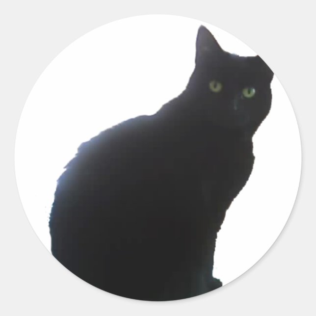 Willow Classic Round Sticker (Front)