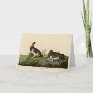Willow Grous (Grouse) - Audubon's Birds of America Card