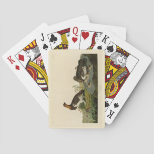 Willow Grous (Grouse) - Audubon's Birds of America Playing Cards