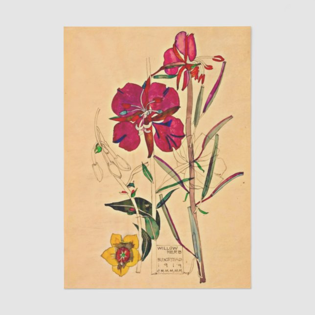 Willow Herb by Charles Mackintosh Tissue Paper (Front)