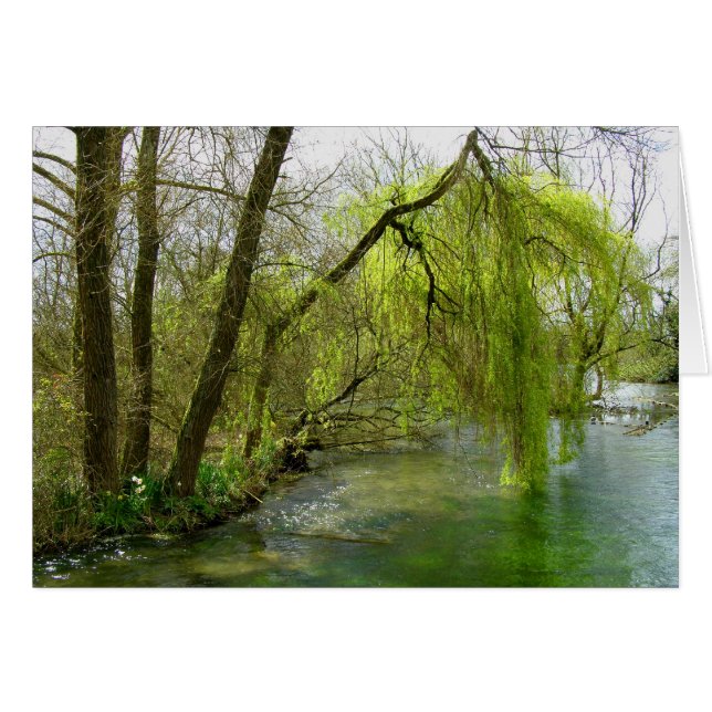 Willow on the River Test card (Front Horizontal)