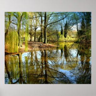 Willow Pond Water Reflection Poster