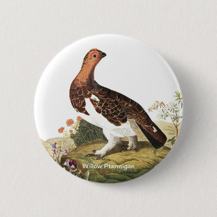 Willow Ptarmigan by John James Audubon Birder Bird 6 Cm Round Badge