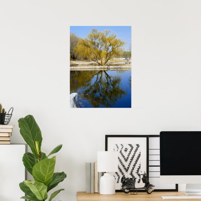 willow reflection poster (Home Office)