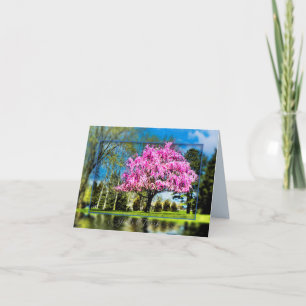 Willow Tree and Nature God's Artwork Notecard