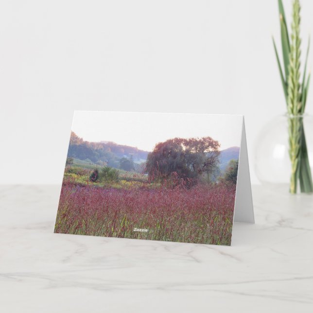 Willow Tree Blank Card (Back)