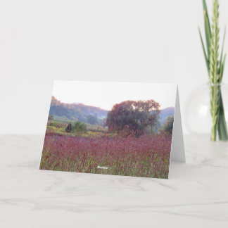 Willow Tree Blank Card