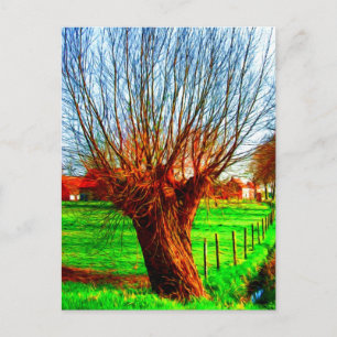 willow tree in traditional Flemish landscape Postcard