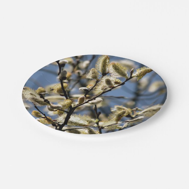 WILLOW TREE PAPER PLATE (Angled)