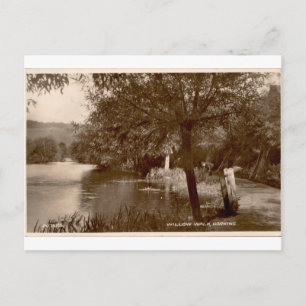 Willow Walk Dorking Vintage Sepia View Postcard