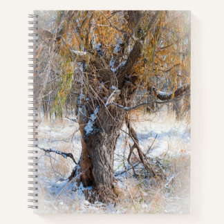 Willow Walking Notebook