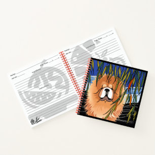 WILLOW WIND - Chowtime recipe book -hard or soft