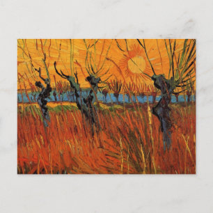 Willows at Sunset by Vincent van Gogh Postcard