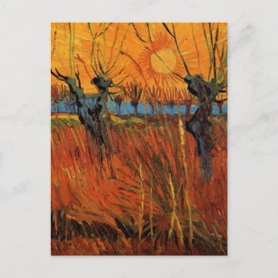 Willows at Sunset by Vincent van Gogh Postcard